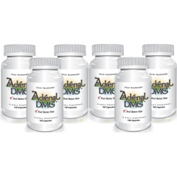 Delgado Protocol - Adrenal DMG 180 caps (6 Pack) Save $54.52!! Detox Products